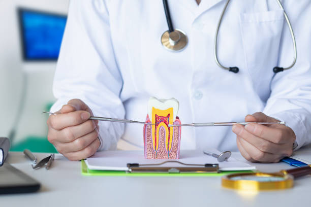 Best Pediatric Emergency Dentist in Red Oaks Mill, NY